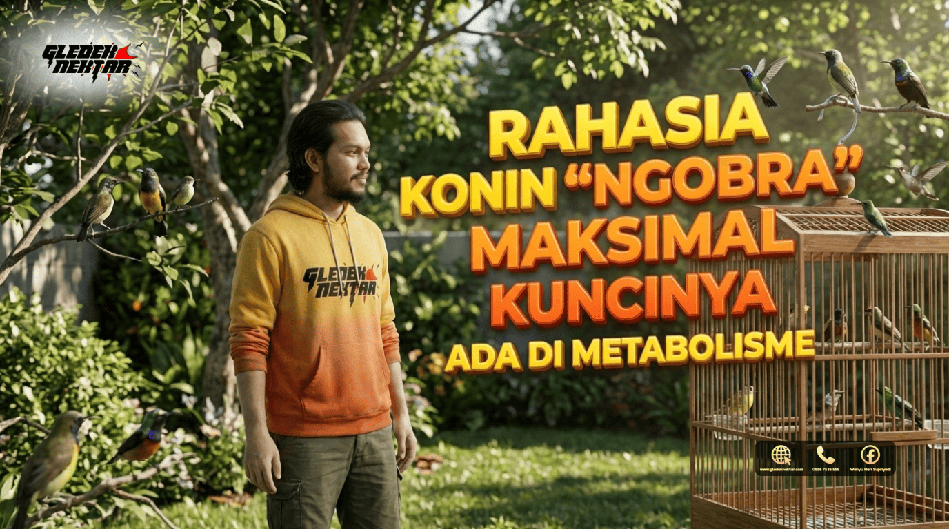 Rahasia Konin "Ngobra" Maksimal Kuncinya Ada di Metabolisme