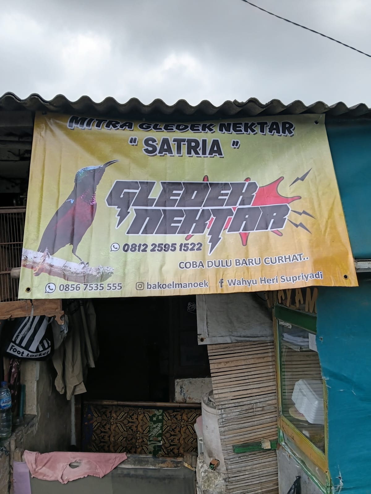 Mitra gledek nektar satria